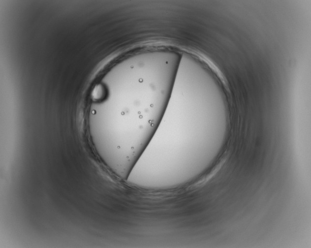 X0000114640829200910200939
