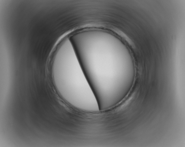 X0000114640830200910200939