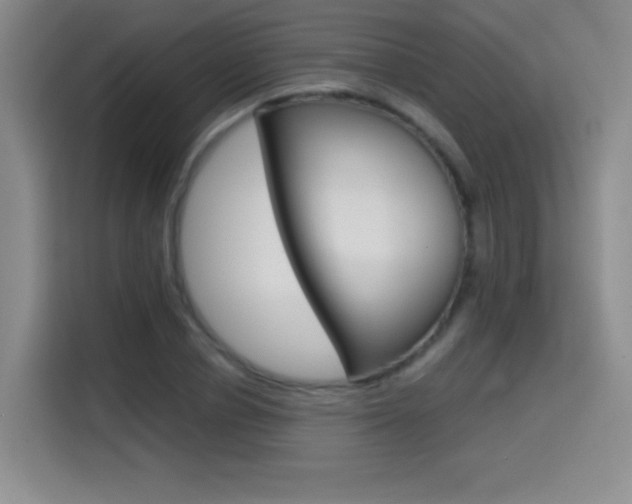 X0000114640834200910200939