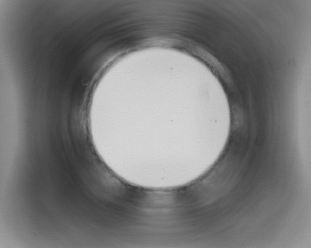 X0000114640836200910200939
