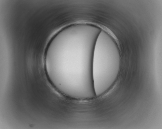 X0000114640839200910200939