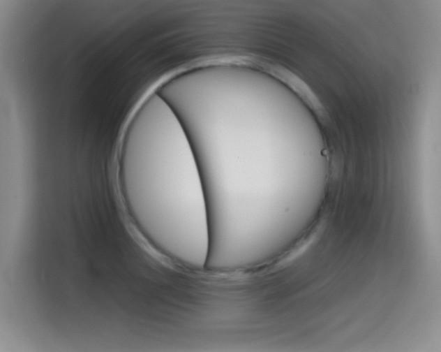 X0000114640844200910200939