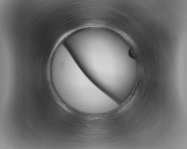 X0000114640846200910200939