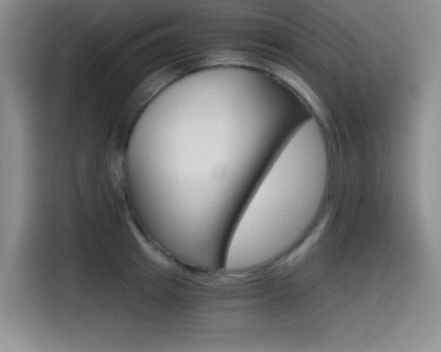 X0000114640849200910200939