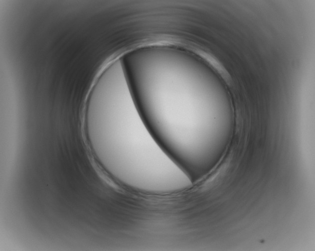 X0000114640850200910200939