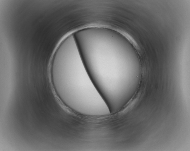X0000114640854200910200939