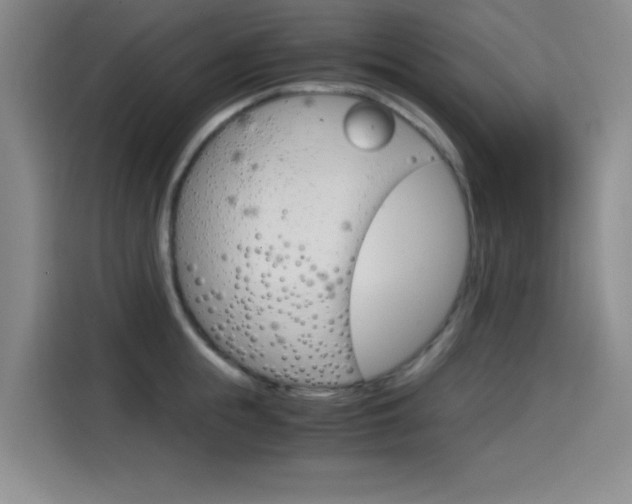X0000114640855200910200939