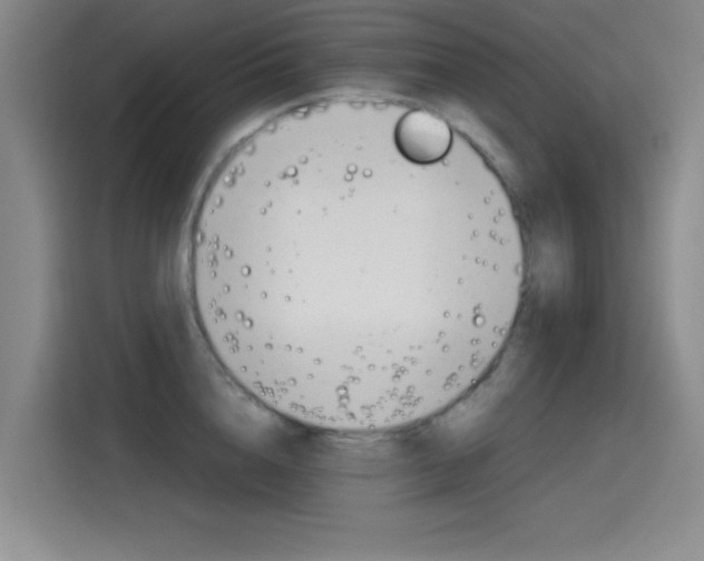 X0000114640856200910200939