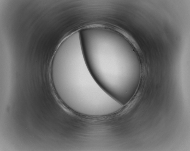 X0000114640858200910200939