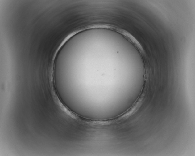 X0000114640860200910200939