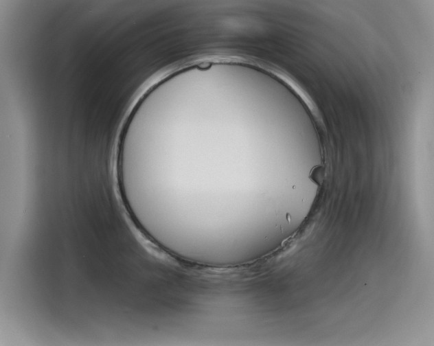 X0000114640861200910200939