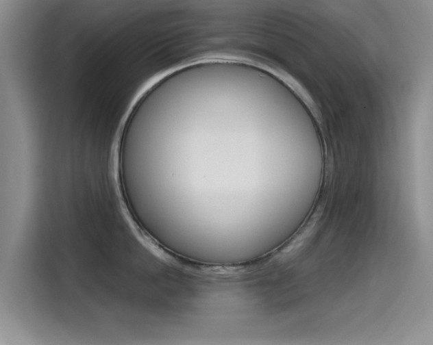 X0000114640862200910200939