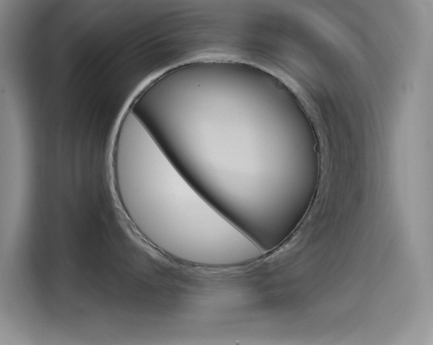 X0000114640864200910200939
