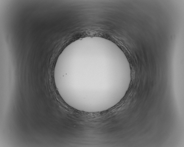 X0000114640865200910200939