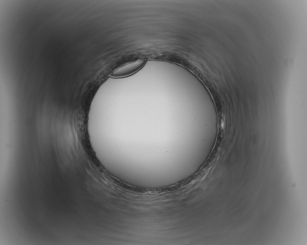 X0000114640867200910200939