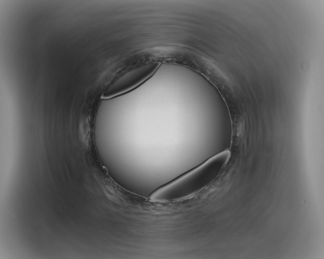 X0000114640868200910200939