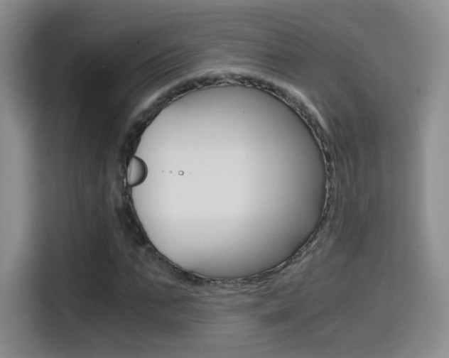 X0000114640871200910200939