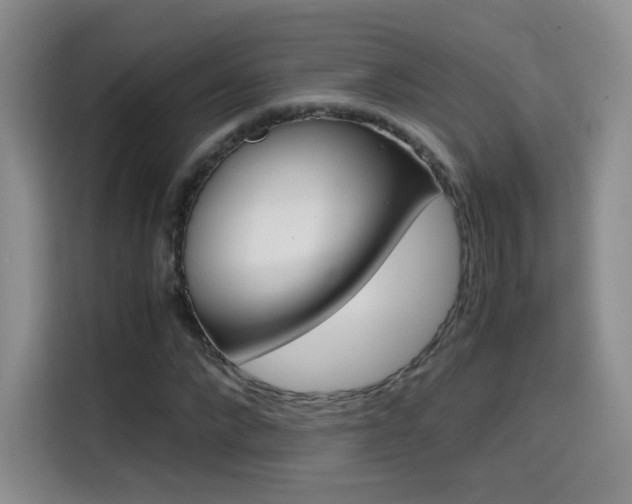 X0000114640872200910200939