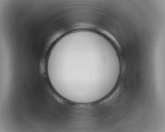 X0000114640874200910200939