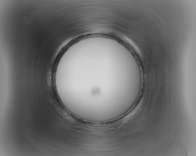 X0000114640875200910200939