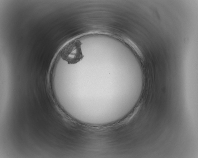 X0000114640876200910200939