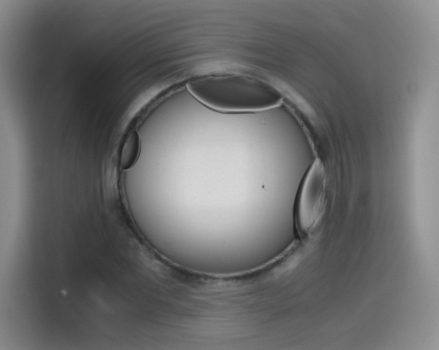 X0000114640877200910200939