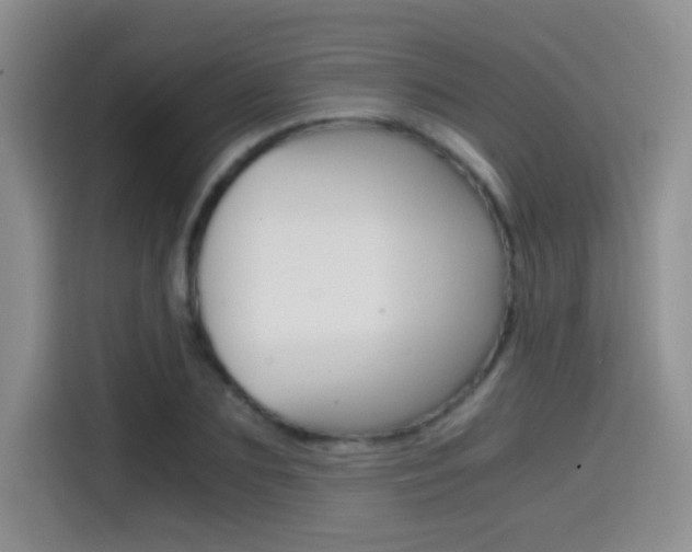 X0000114640883200910200938