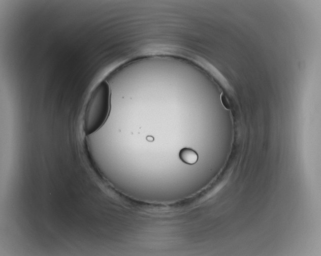 X0000114640885200910200938