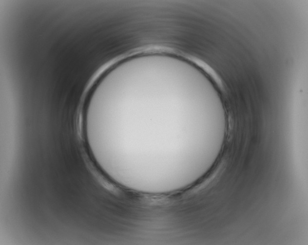 X0000114640886200910200938