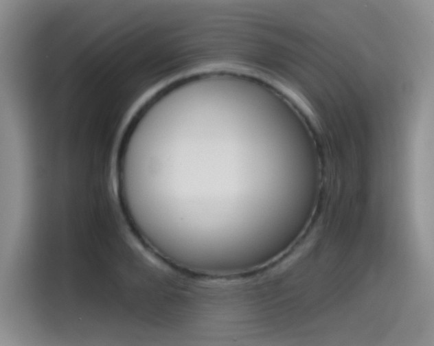 X0000114640888200910200938