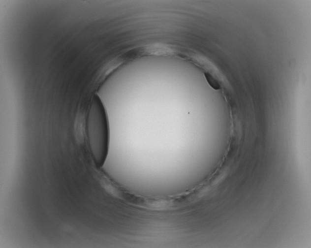 X0000114640889200910200938