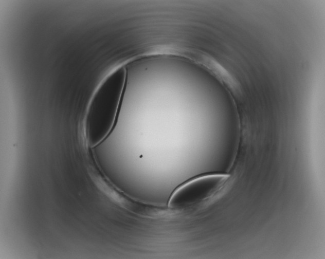 X0000114640892200910200938