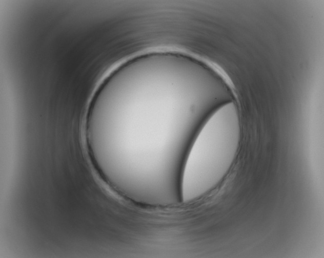 X0000114640895200910200938