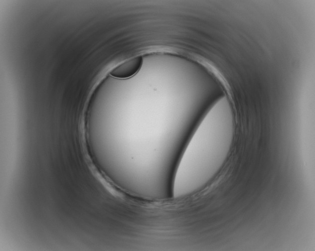 X0000114640898200910200938