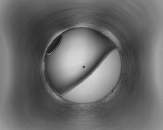 X0000114640900200910200938
