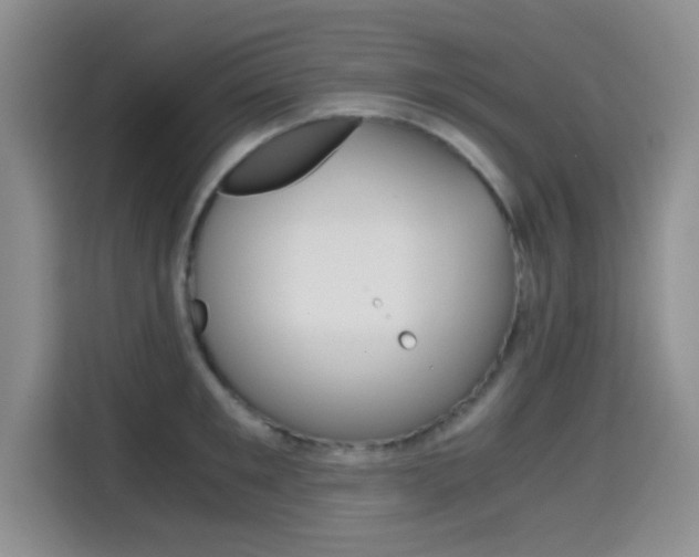 X0000114640901200910200938