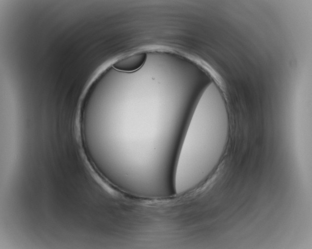 X0000114640902200910200938