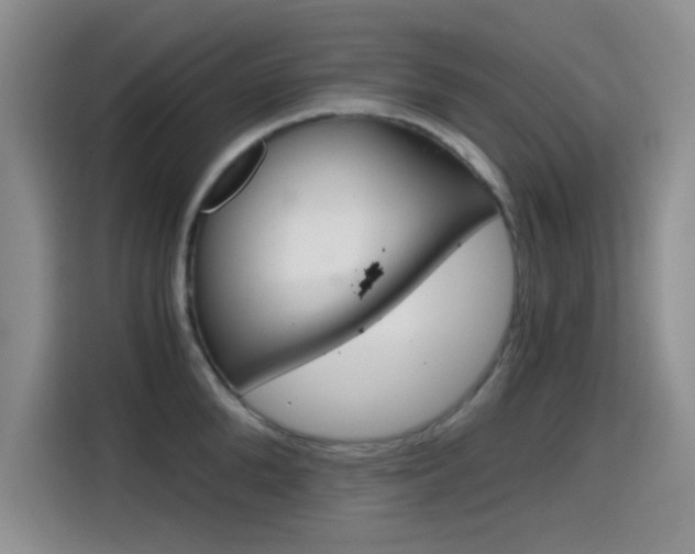 X0000114640904200910200938