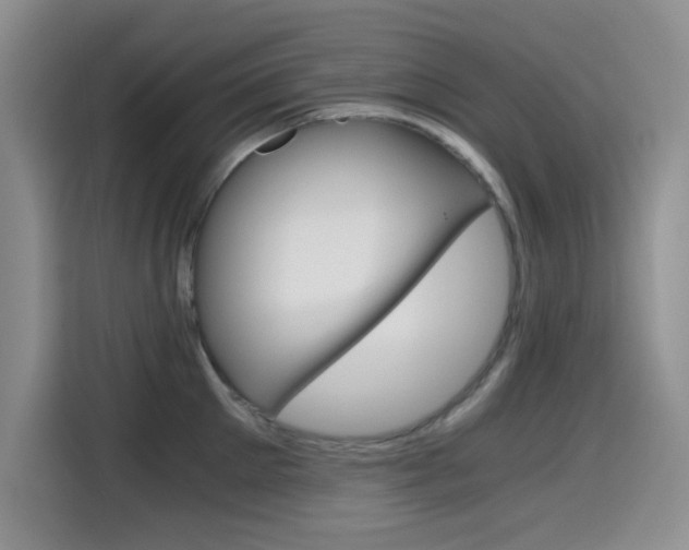 X0000114640905200910200938