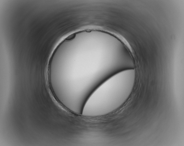 X0000114640911200910200938