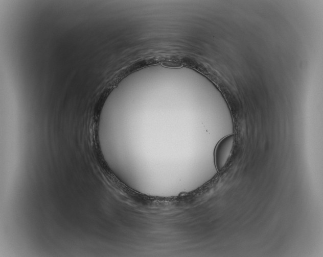 X0000114640914200910200937