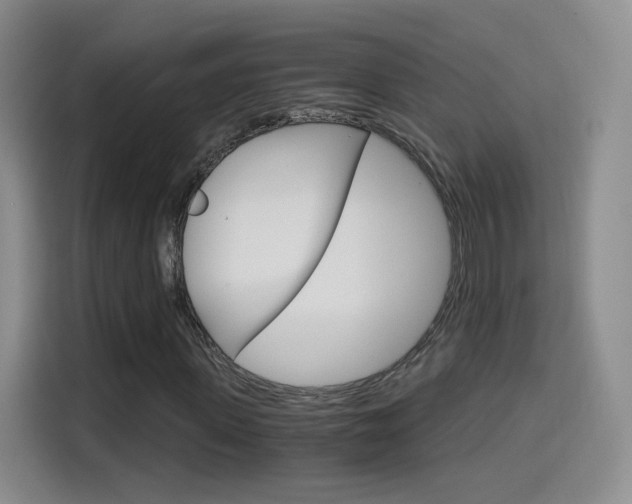 X0000114640915200910200937