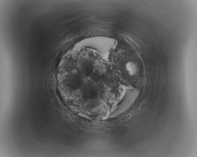 X0000114640917200910200937