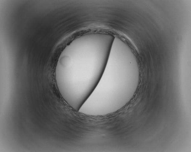 X0000114640919200910200938