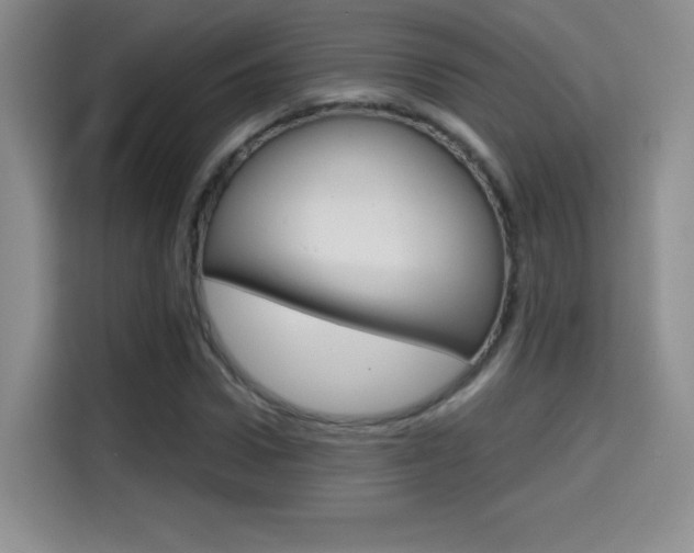X0000114640922200910200938