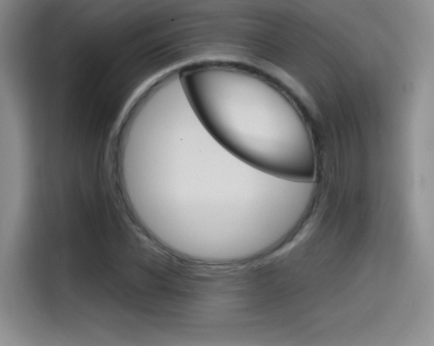 X0000114640926200910200938
