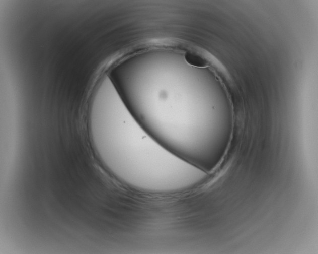 X0000114640930200910200938