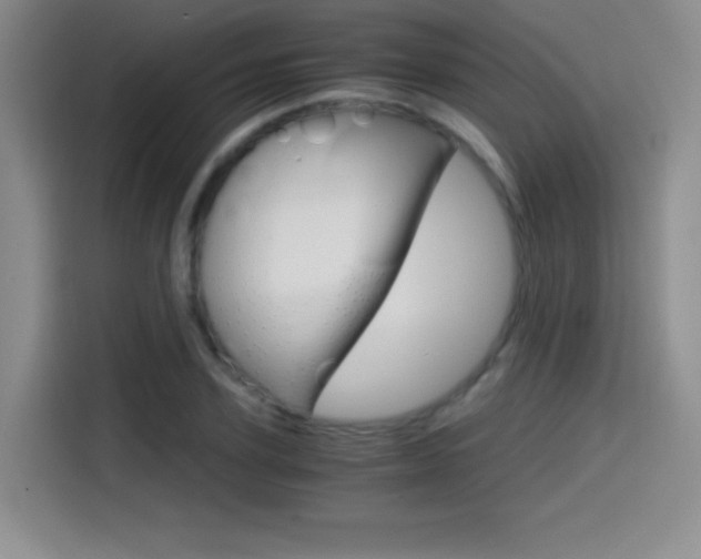 X0000114640931200910200938