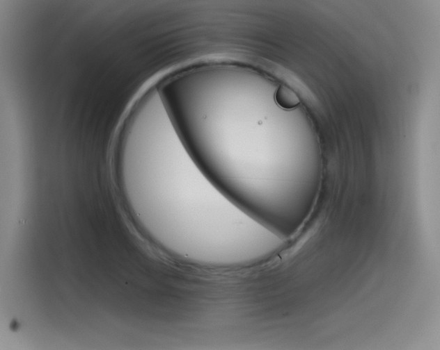 X0000114640934200910200938