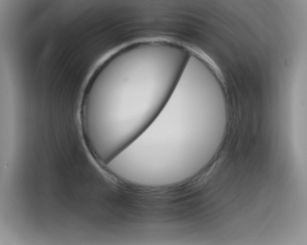 X0000114640943200910200938